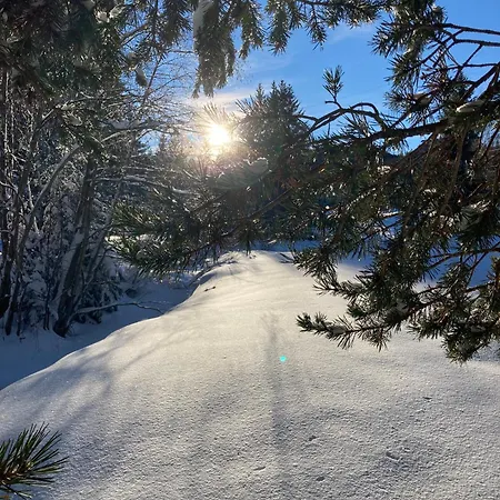 Διαμέρισμα Mountain Retreat Fliess