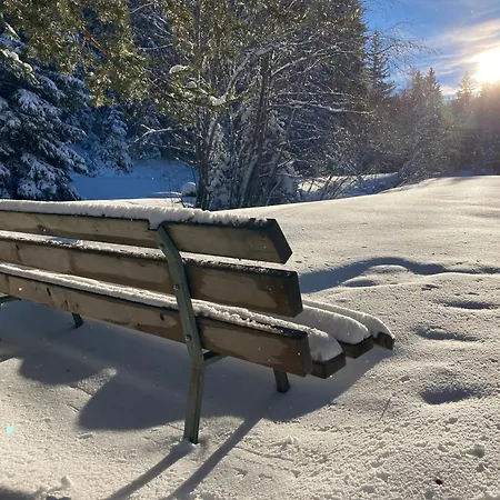 Mountain Retreat Apartament