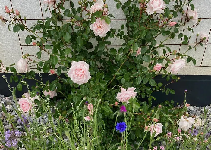 Mountain Retreat Fliess