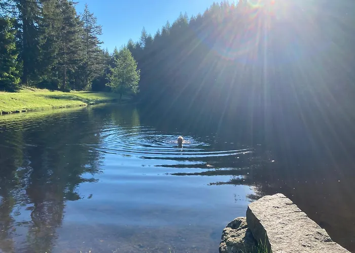 Mountain Retreat Apartament