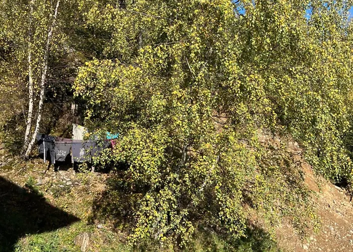 Mountain Retreat * Fliess