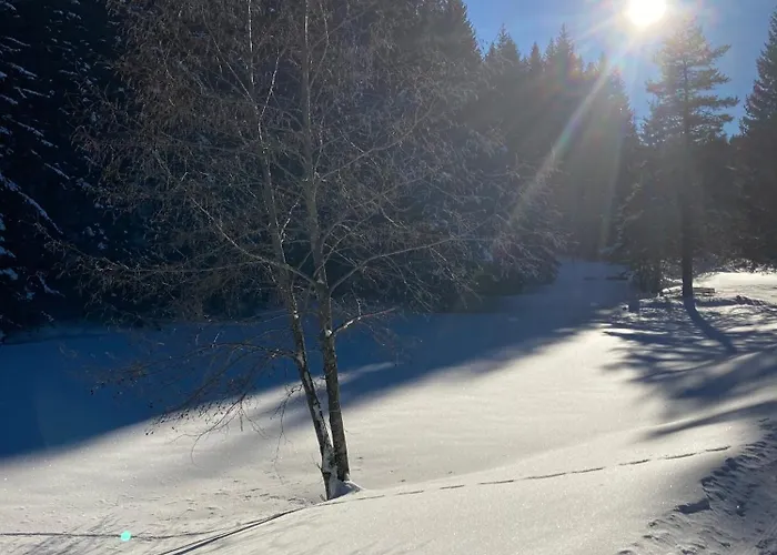 Apartmán Mountain Retreat *