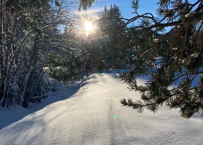 Apartament Mountain Retreat Fliess